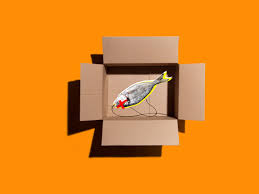 Amazon phishing scam